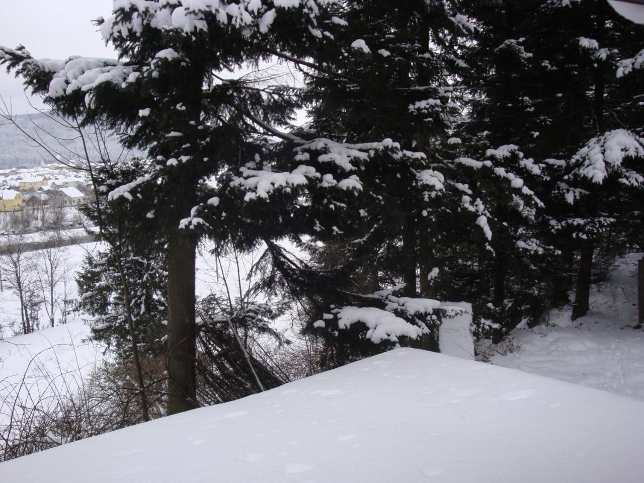 House Beskyd Villa Skole Dış mekan fotoğraf